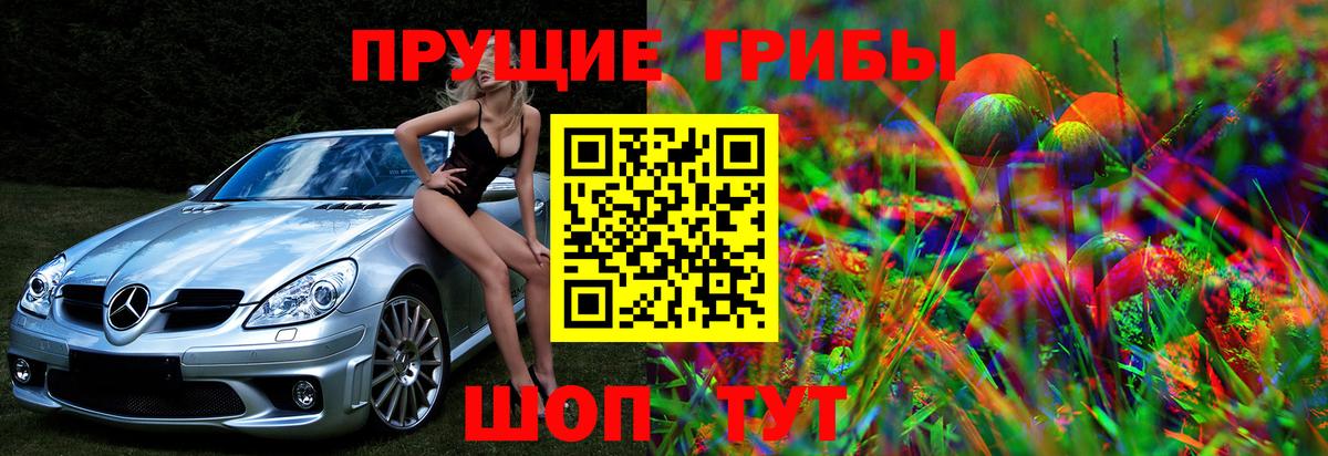 Псилоцибиновые грибы прущие грибы Елизово