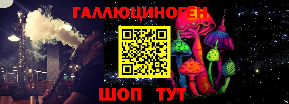 Елизово  наркота  Вход с VPN  Галлюциногенные грибы прущие грибы 